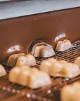 Assortiment d'Oursons guimauve Vanille & Chocolat