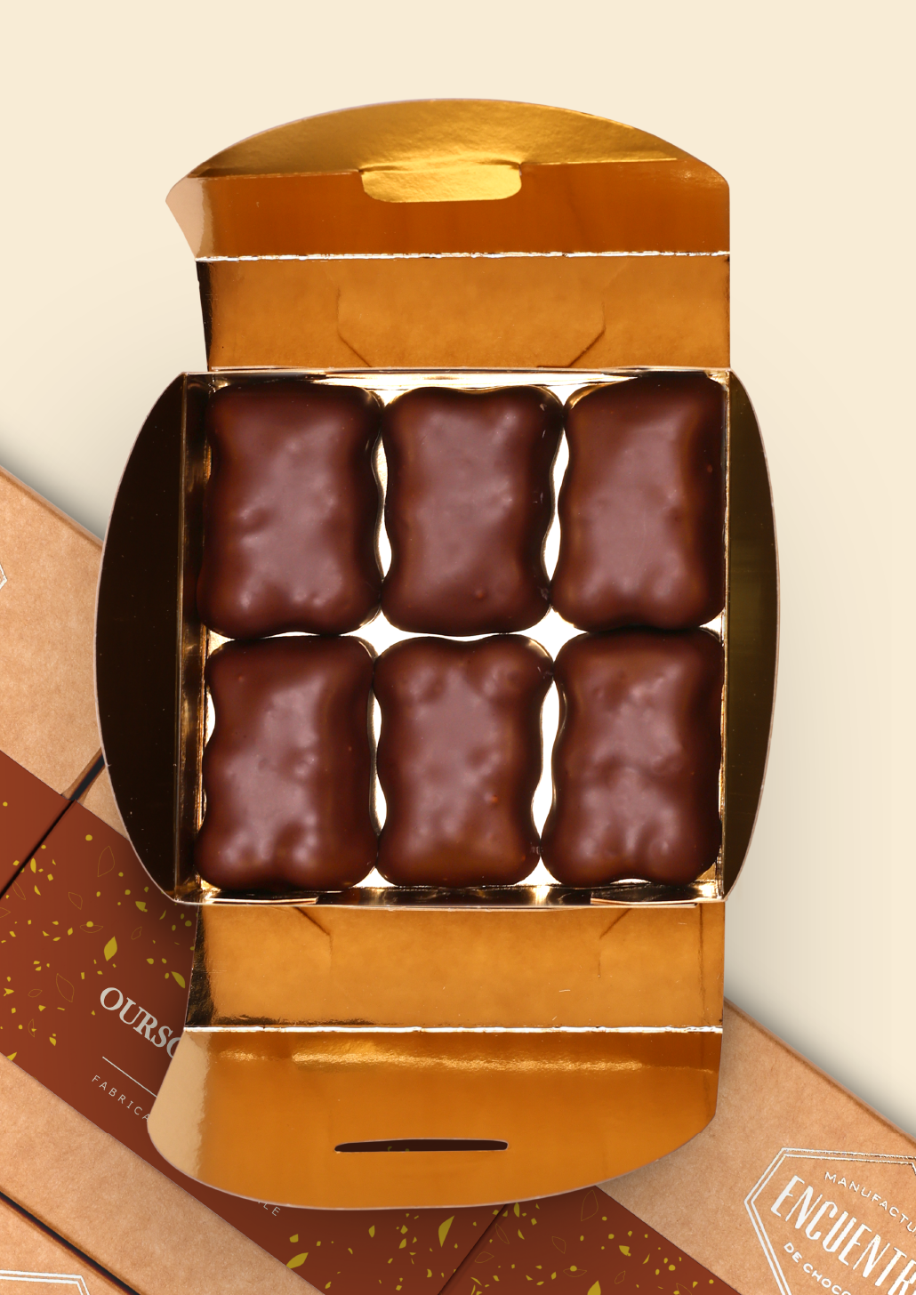 Oursons Guimauve au chocolat